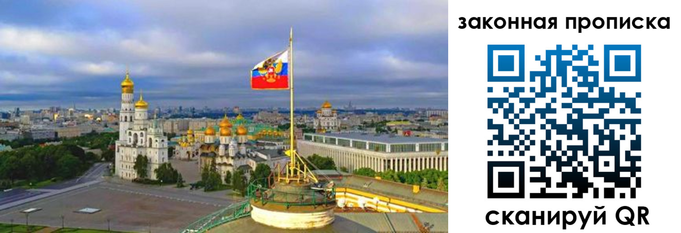 прописка от собственника в Светлогорске